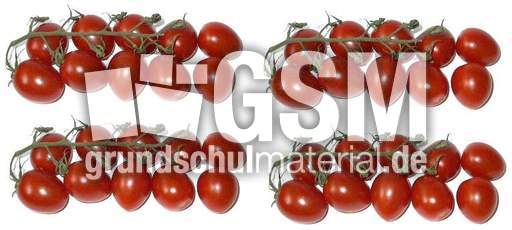 Tomaten4x10.jpg